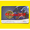 Netherlands 50 cent 2025 in blister.(ESA)