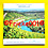 Luxemburg 2025 bu.(Met fotoprint Groothertog Henri)
