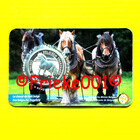 Belgium 2.50 euro 2026 in blister.(Belgian Draft Horse) French