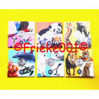 Frankrijk 6x 5 euro 2026 in blister.(Werelddieren)