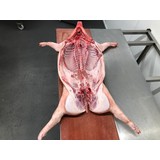 Varken Heel +/- 30 kg Varken Heel +/- 30 kg