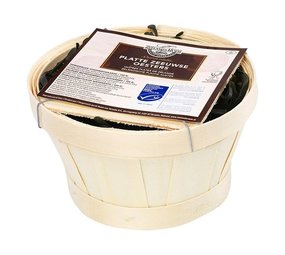 Platte Zeeuwse oesters 6 stuks Platte Zeeuwse oesters 6 stuks