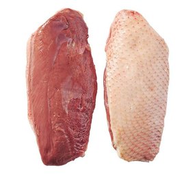 Eendenborstfilet +/- 750 gram 2 filets ( Magret Canard ) Frans Eendenborstfilet +/- 750 gram 2 filets ( Magret Canard ) Frans