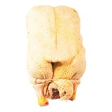 Veluwse eend (heel) Veluwse eend (heel)