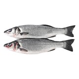 zeebaars (Kweek) +/- 500 gram zeebaars (Kweek) +/- 500 gram