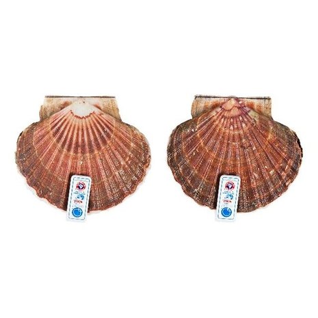 Coquilles per schelp (+/-200 gram)