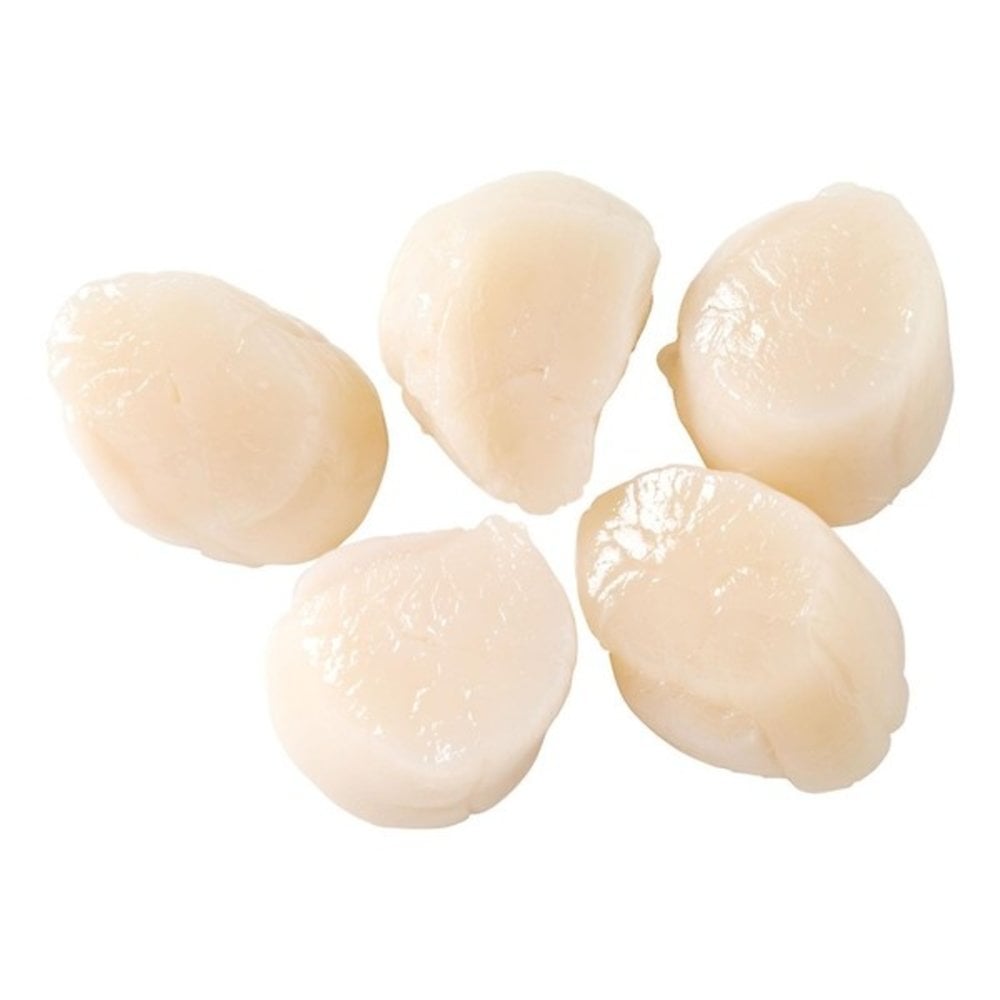 Coquilles (250 gram) Coquilles (250 gram)