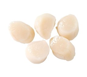Coquilles (250 gram) Coquilles (250 gram)