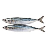 Makreel (Heel) 1000 gram Makreel (Heel) 1000 gram