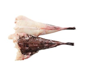 Zeeduivel zonder kop +/- 1500 gram Zeeduivel zonder kop +/- 1500 gram