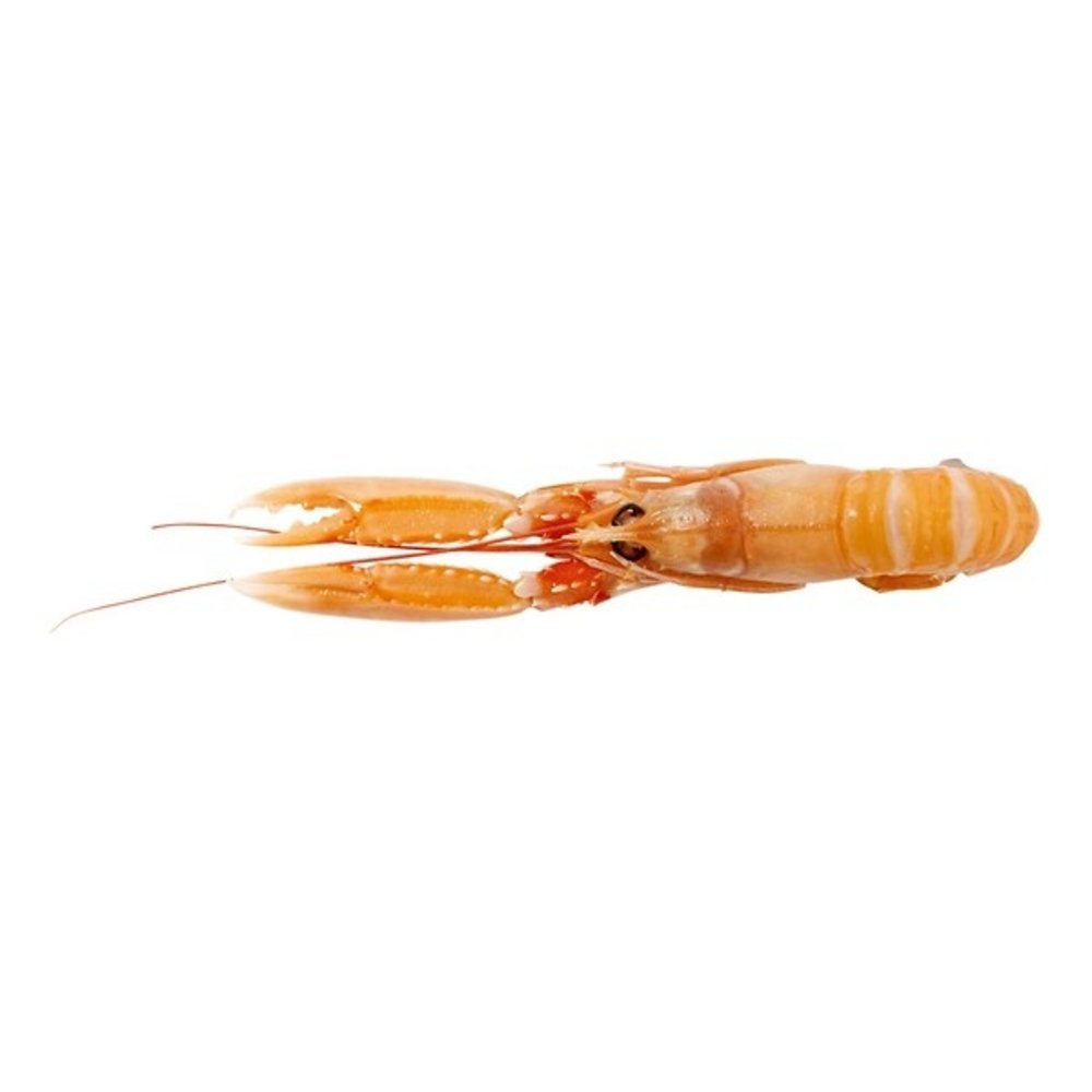 Langoustines 17/20 Langoustines 17/20
