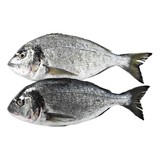 Dorade Royal 400-600 gram Dorade Royal 400-600 gram