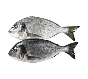 Dorade Royal  400-600 gram Dorade Royal  400-600 gram