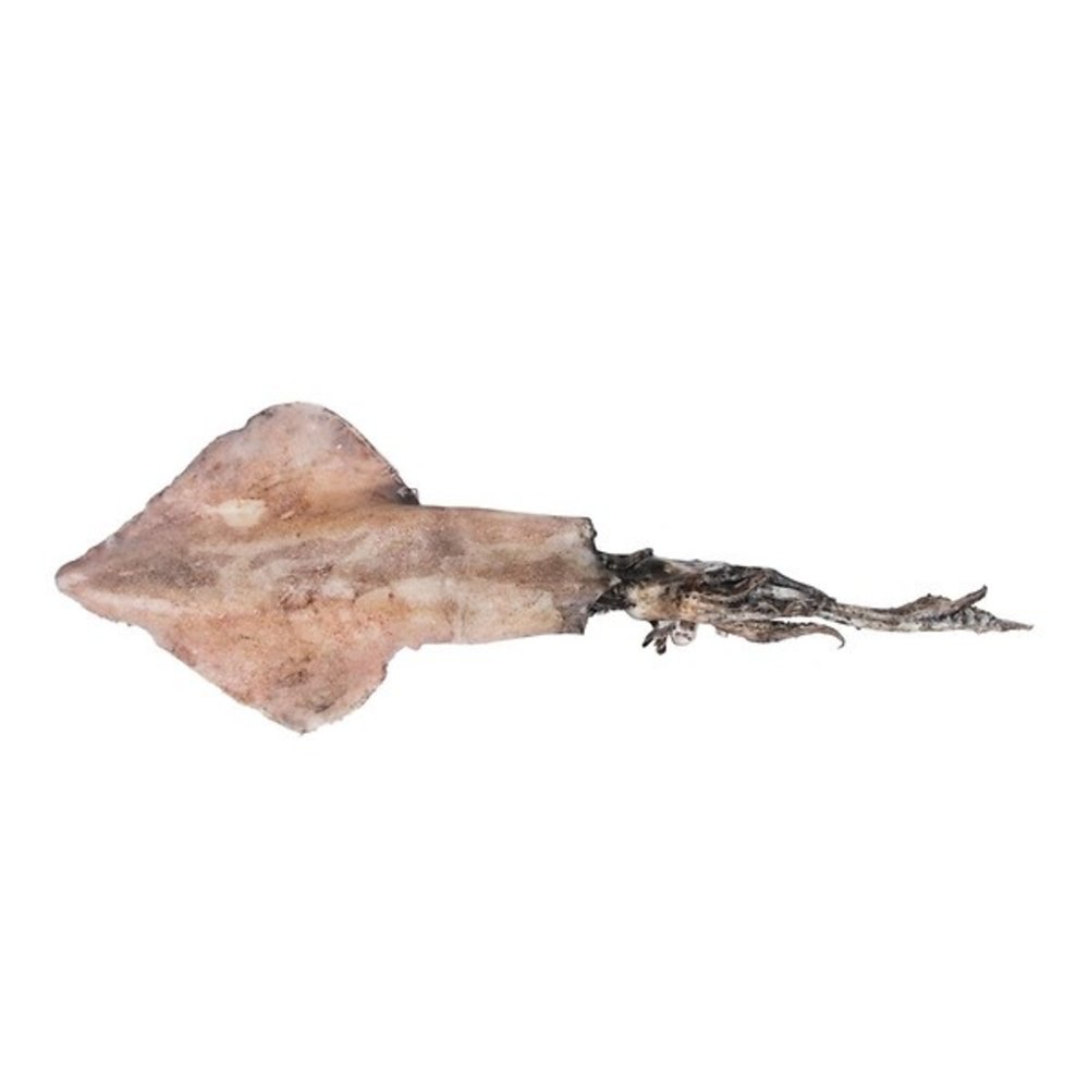 Vis Inktvis pijlstaart Vis Inktvis pijlstaart