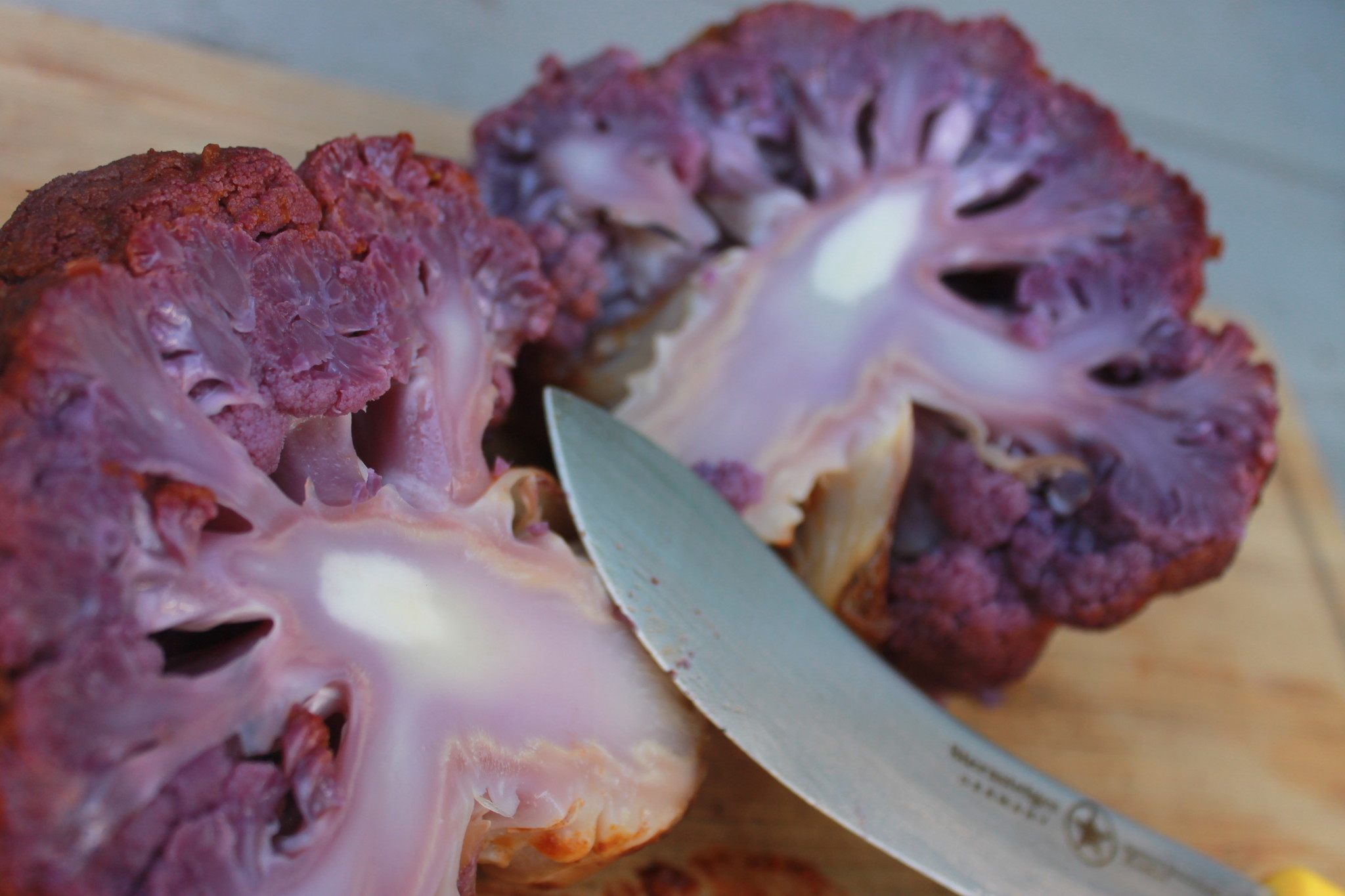 Bloemkool met Harissa