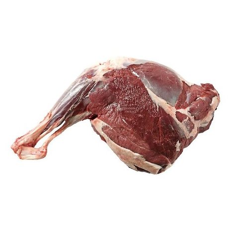 Hertenbout ( Heel +/- 10 kg )