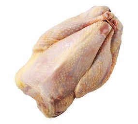 Fazant haan gepeesd ( heel ) Fazant haan gepeesd ( heel )