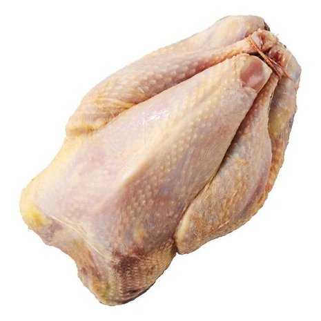 Fazant haan gepeesd ( heel ) Fazant haan gepeesd ( heel )