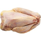 Fazant hen gepeesd Fazant hen gepeesd