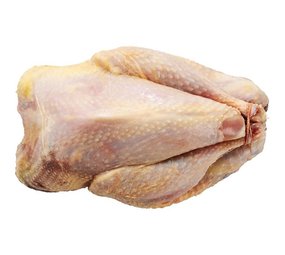 Fazant hen gepeesd Fazant hen gepeesd