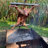 Speenvarken 8-10 kilo Speenvarken 8-10 kilo