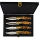 Steakmessen by Henk Schiffmacher 4 stuks Steakmessen by Henk Schiffmacher 4 stuks