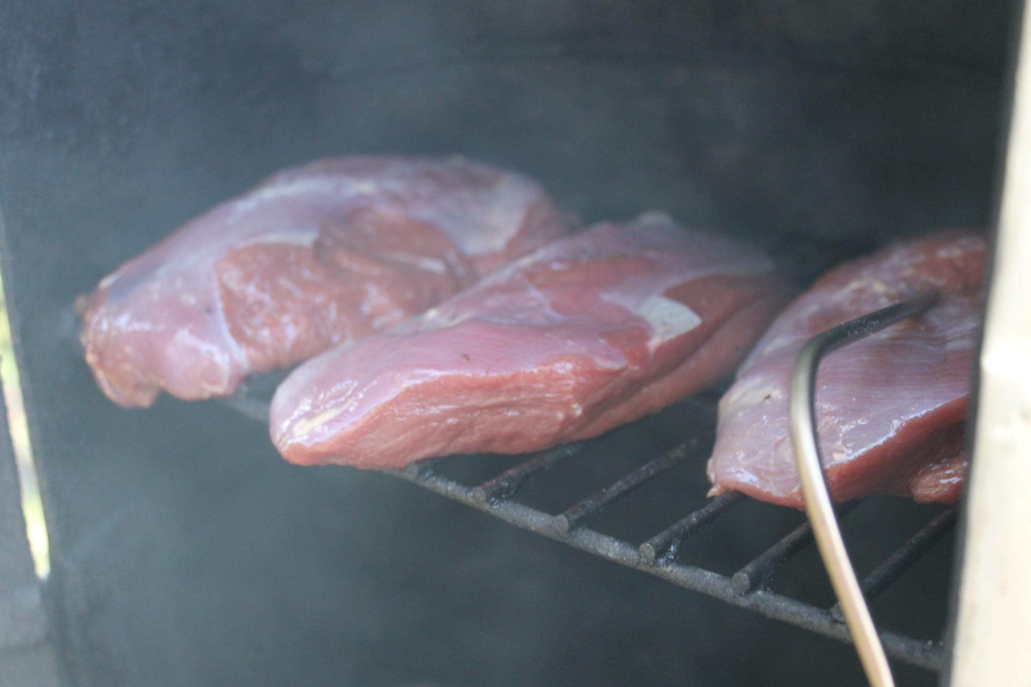 Ganzenborsten warm roken 