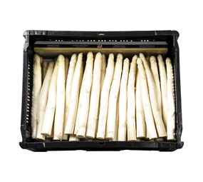 Asperges Asperges