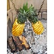 Afrikaanse BBQ Workshop 23 maart 2024 Amstelveen Afrikaanse BBQ Workshop 23 maart 2024 Amstelveen