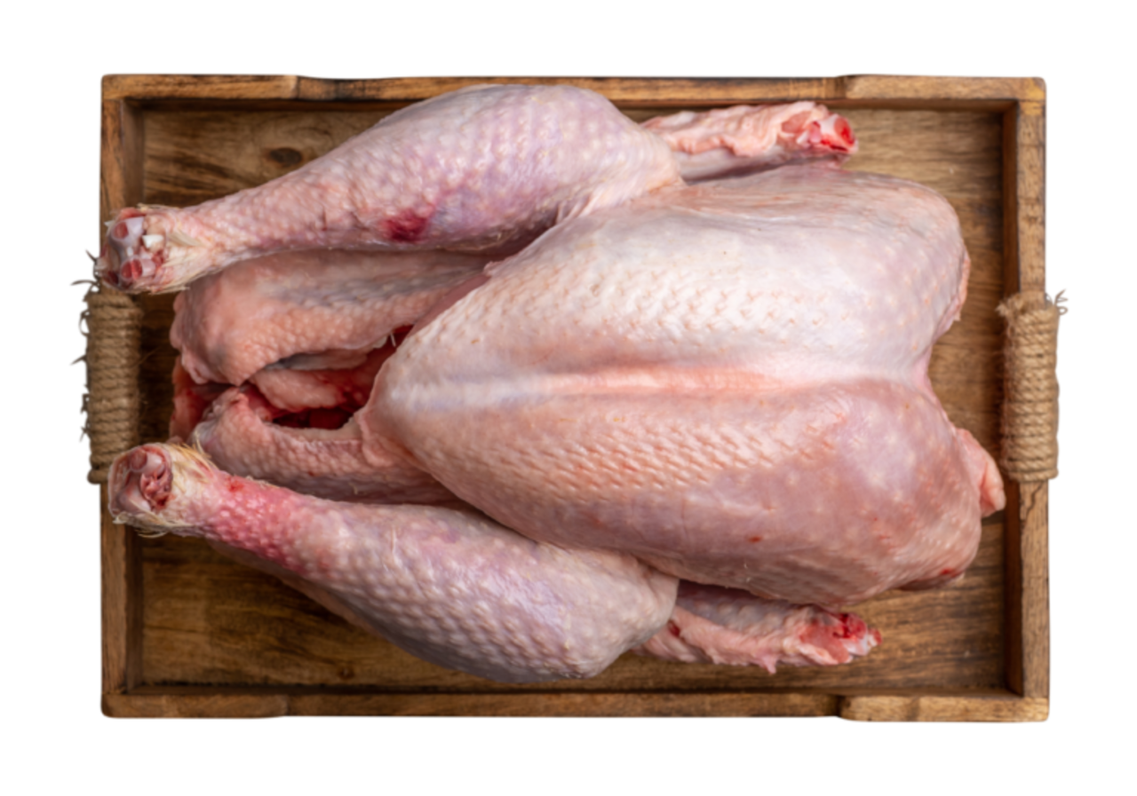 Kalkoen heel Kalkoen heel