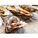 Oesters Hog Butter Oesters Hog Butter