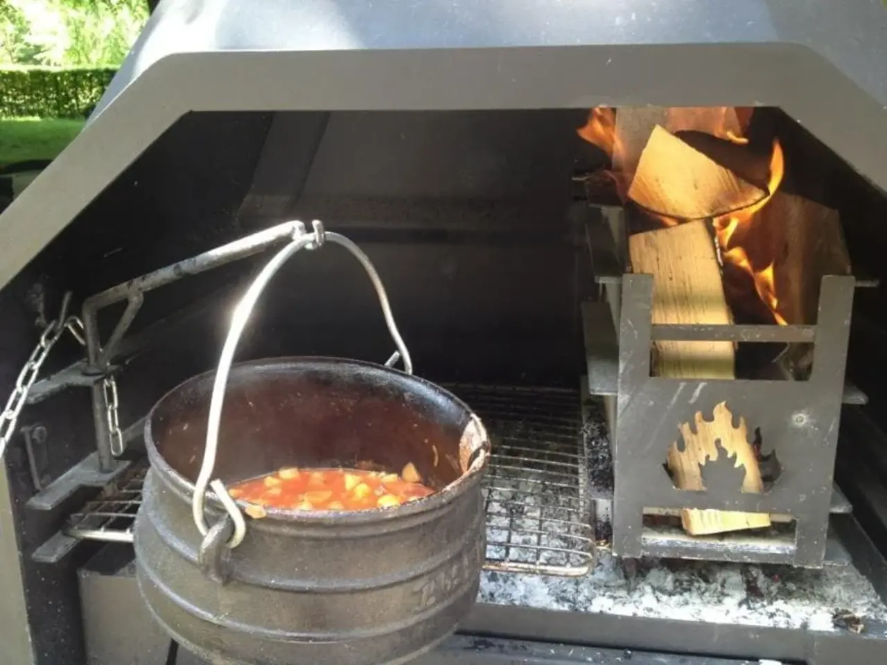 Zuid-Afrikaanse Braai 800 Freestanding Home Fires Zuid-Afrikaanse Braai 800 Freestanding Home Fires