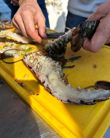 Ultieme Braai BBQ Workshop 3 oktober 2026 Meppel