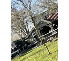 Ultieme Braai BBQ "Nieuw" Workshop 3 oktober 2026 Meppel