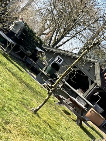 Ultieme Braai BBQ Workshop 3 oktober 2026 Meppel