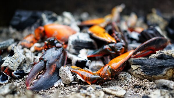Winter BBQ & Bier BBQ Workshop 5 februari 2027 Apeldoorn inclusief bierproeverij