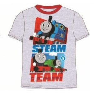 Thomas de Trein Thomas de Trein T-shirt - Grijs Thomas de Trein Thomas de Trein T-shirt - Grijs