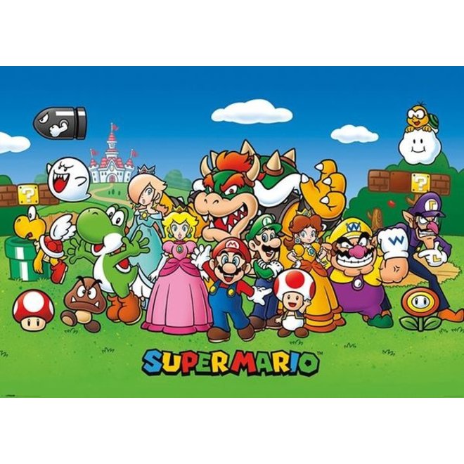 Super Mario Bros Maxi Poster - Characters