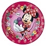 Minnie Mouse Feestbordjes - 8 stuks