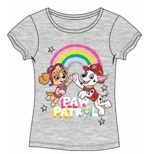 Paw Patrol Paw Patrol T-shirt Pawsitive - Grijs