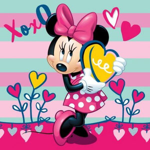 Minnie Mouse Minnie Mouse Kussen - Disney Minnie Mouse Minnie Mouse Kussen - Disney
