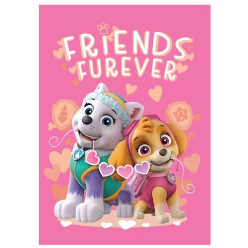 Paw Patrol Paw Patrol Fleece Deken - Friends Forever Paw Patrol Paw Patrol Fleece Deken - Friends Forever