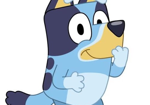 Bluey Bluey