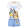 Bluey Zomerset
