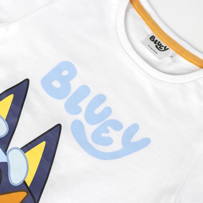 Bluey Zomerset