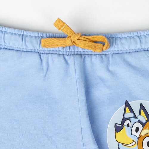 Bluey Bluey Zomerset