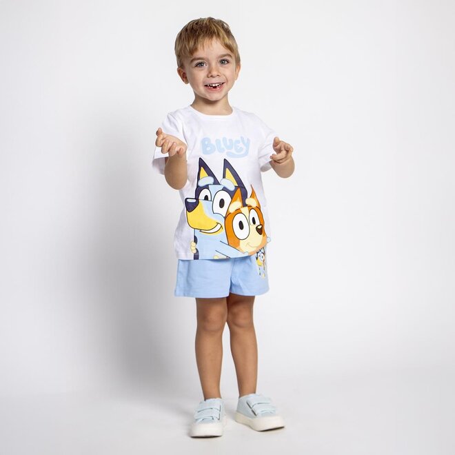 Bluey Zomerset