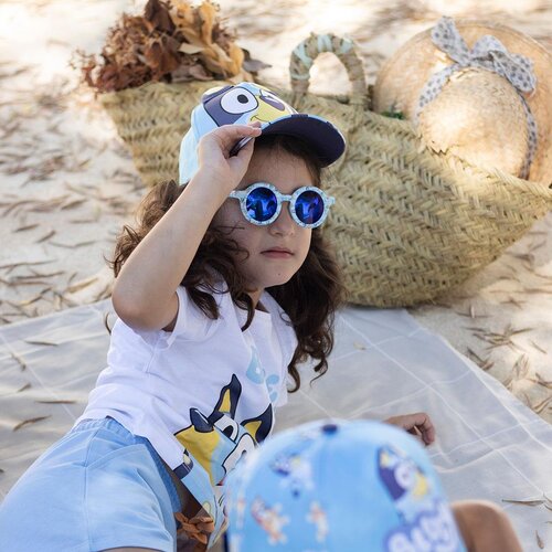 Bluey Bluey Zomerset