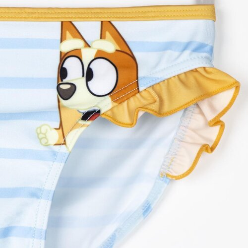 Bluey Bluey Bikini