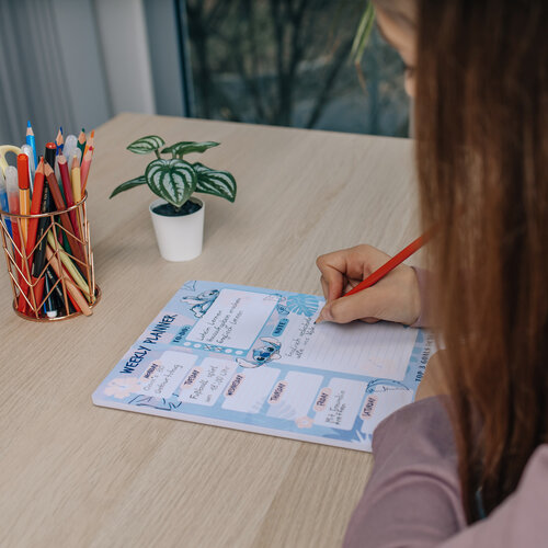 Lilo en Stitch Lilo en Stitch Weekplanner - Disney Lilo en Stitch Lilo en Stitch Weekplanner - Disney